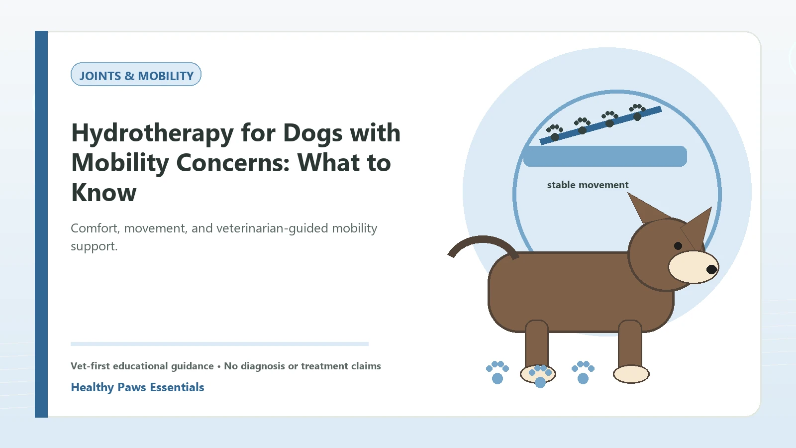 Custom Healthy Paws Essentials illustration for Hydrotherapy for Dogs with Mobility Concerns: What to Know, showing a dog and a vet-first care planning concept.