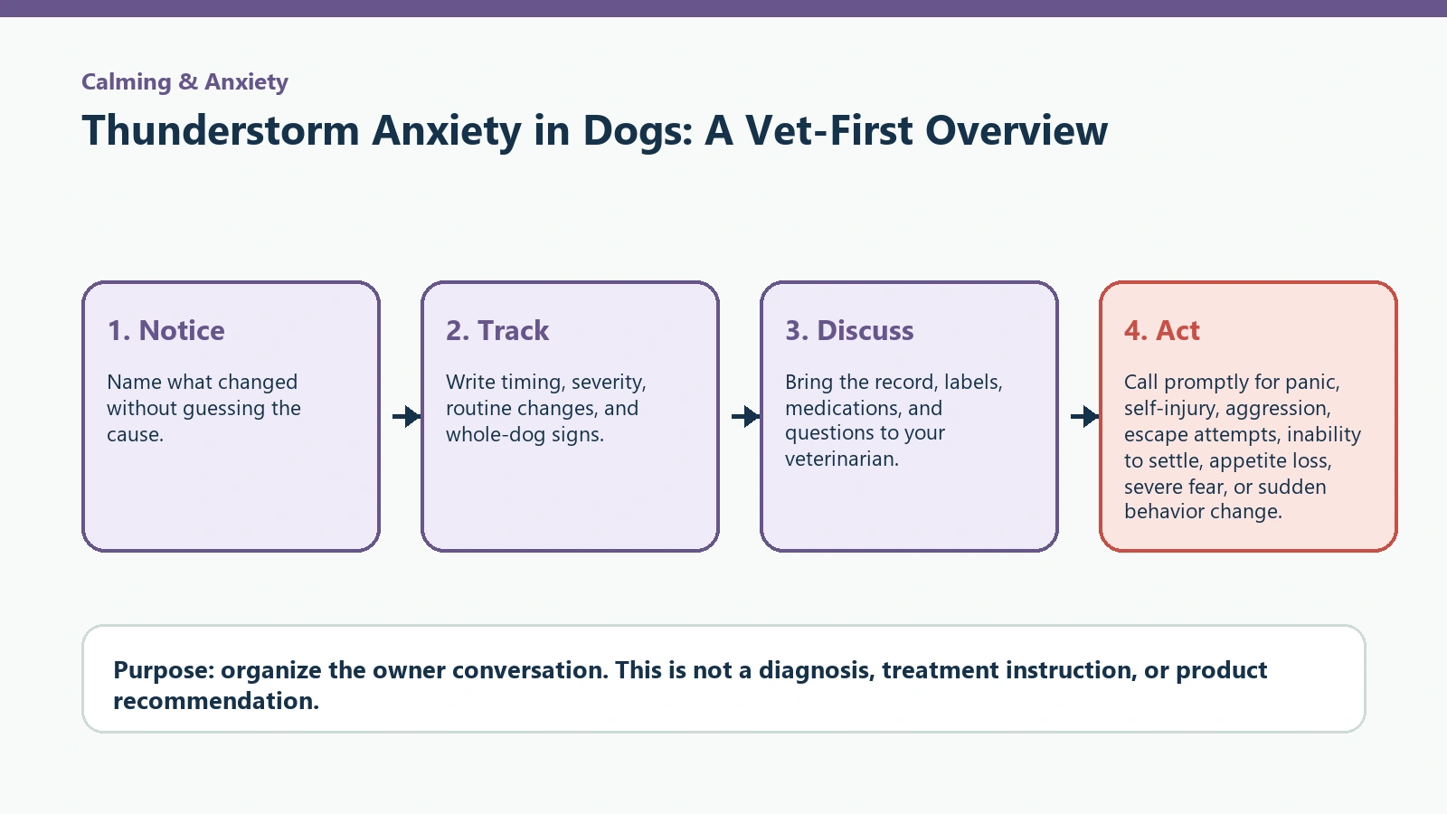 Decision pathway for Thunderstorm Anxiety in Dogs: A Vet-First Overview.