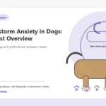 Custom Healthy Paws Essentials illustration for Thunderstorm Anxiety in Dogs: A Vet-First Overview, showing a dog and a vet-first care planning concept.