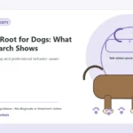 Custom Healthy Paws Essentials illustration for Valerian Root for Dogs: What the Research Shows, showing a dog and a vet-first care planning concept.