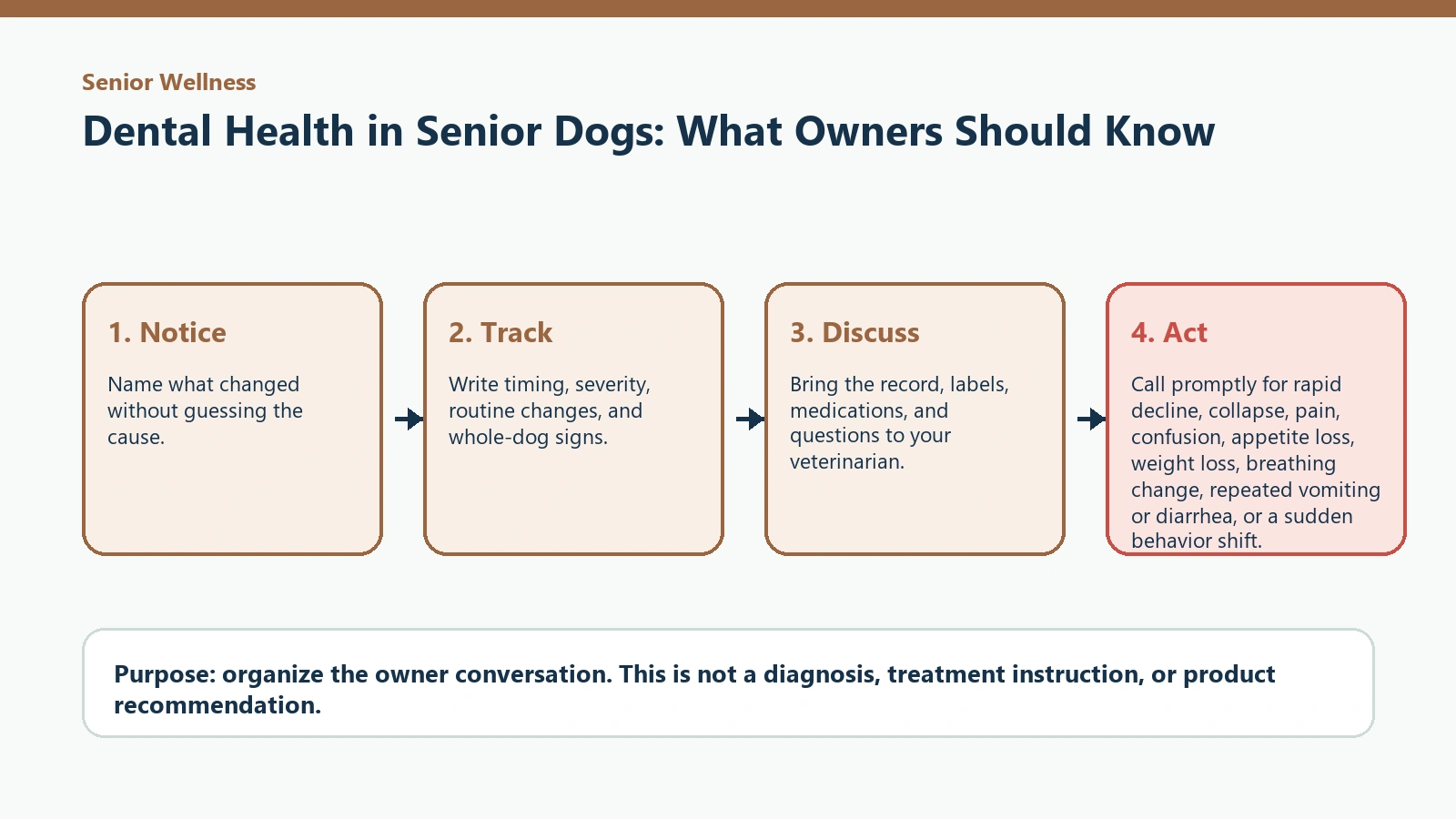 Decision pathway for Dental Health in Senior Dogs: What Owners Should Know.