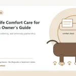 Custom Healthy Paws Essentials illustration for End-of-Life Comfort Care for Dogs: An Owner's Guide, showing a dog and a vet-first care planning concept.