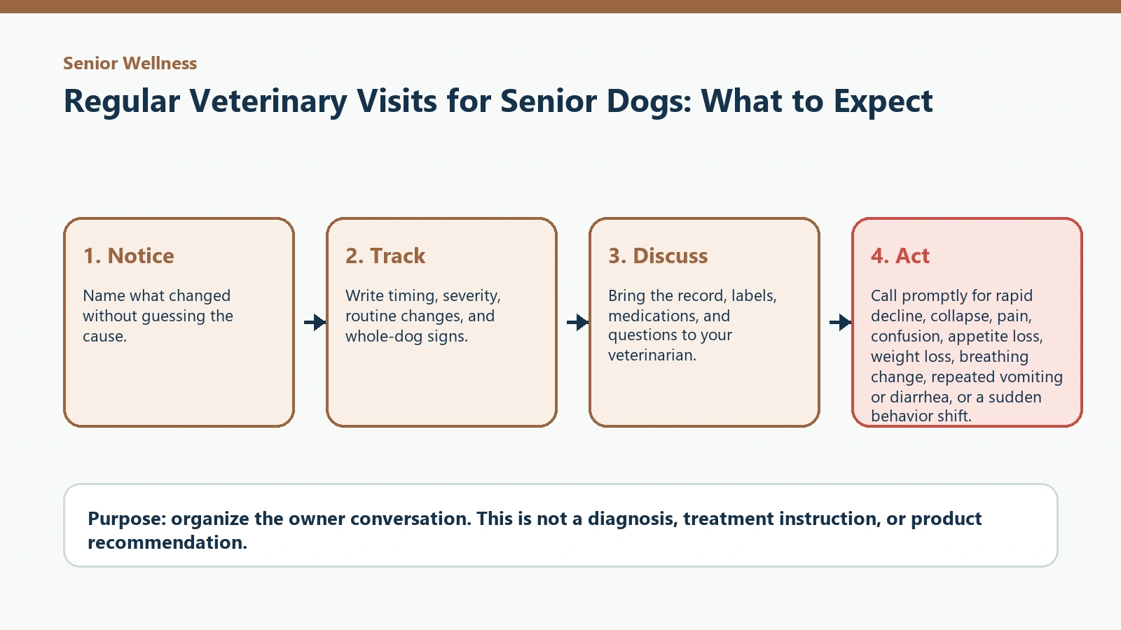 Decision pathway for Regular Veterinary Visits for Senior Dogs: What to Expect.