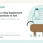 Custom Healthy Paws Essentials illustration for Choosing a Dog Supplement Brand: Questions to Ask, showing a dog and a vet-first care planning concept.
