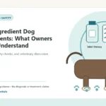 Custom Healthy Paws Essentials illustration for Multi-Ingredient Dog Supplements: What Owners Should Understand, showing a dog and a vet-first care planning concept.