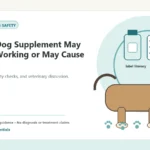 Custom Healthy Paws Essentials illustration for Signs a Dog Supplement May Not Be Working or May Cause Concern, showing a dog and a vet-first care planning concept.