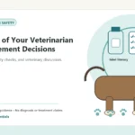 Custom Healthy Paws Essentials illustration for The Role of Your Veterinarian in Supplement Decisions, showing a dog and a vet-first care planning concept.