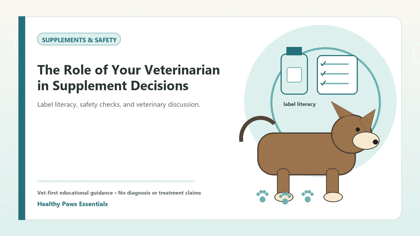 Custom Healthy Paws Essentials illustration for The Role of Your Veterinarian in Supplement Decisions, showing a dog and a vet-first care planning concept.