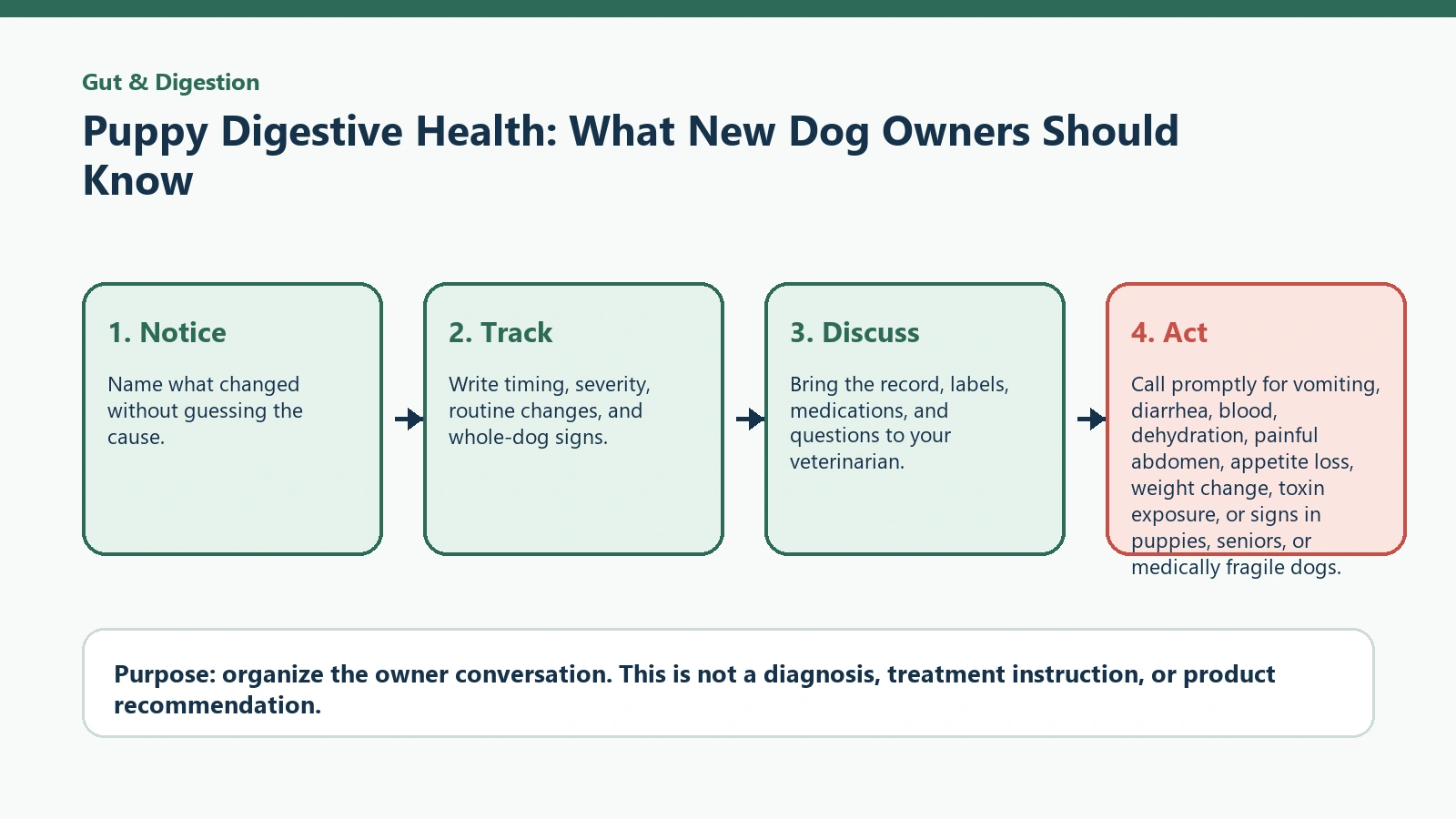 Decision pathway for Puppy Digestive Health: What New Dog Owners Should Know.
