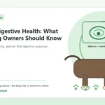 Custom Healthy Paws Essentials illustration for Puppy Digestive Health: What New Dog Owners Should Know, showing a dog and a vet-first care planning concept.
