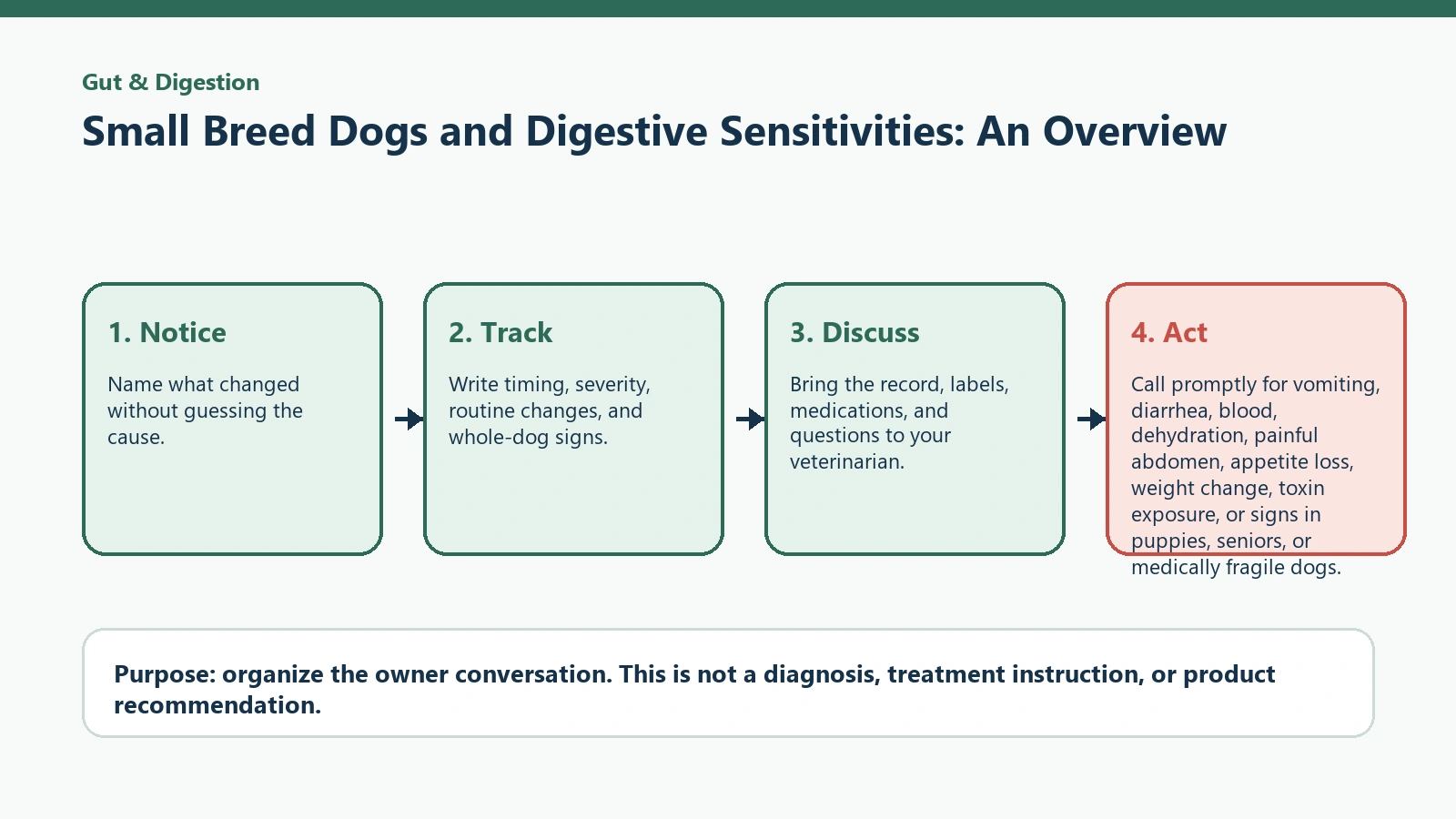 Decision pathway for Small Breed Dogs and Digestive Sensitivities: An Overview.