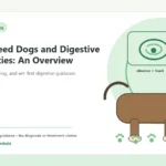 Custom Healthy Paws Essentials illustration for Small Breed Dogs and Digestive Sensitivities: An Overview, showing a dog and a vet-first care planning concept.