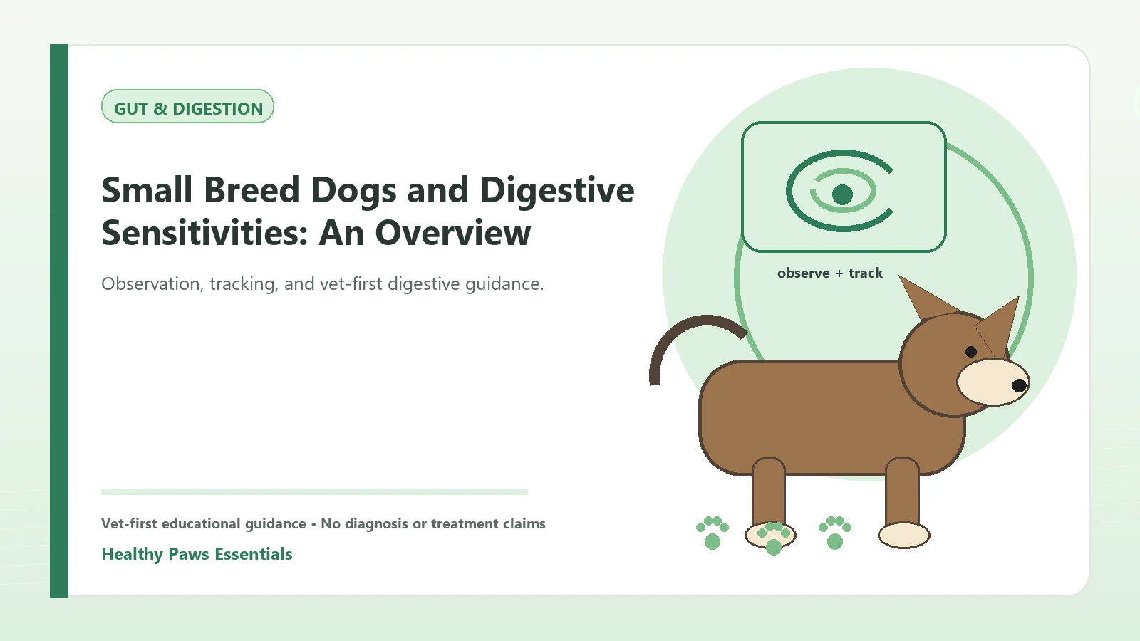 Custom Healthy Paws Essentials illustration for Small Breed Dogs and Digestive Sensitivities: An Overview, showing a dog and a vet-first care planning concept.