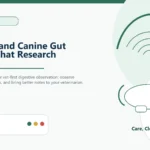 Custom Healthy Paws Essentials hero and featured illustration for Raw Diet and Canine Gut Health: What Research Indicates, showing calm vet-first dog care planning.