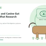 Custom Healthy Paws Essentials illustration for Raw Diet and Canine Gut Health: What Research Indicates, showing a dog and a vet-first care planning concept.