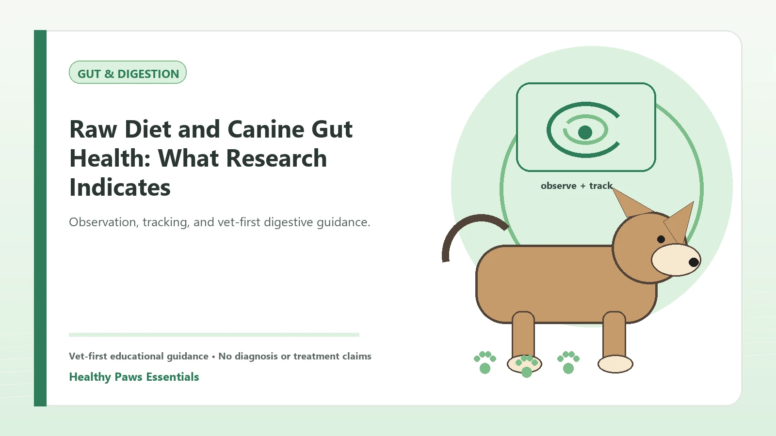 Custom Healthy Paws Essentials illustration for Raw Diet and Canine Gut Health: What Research Indicates, showing a dog and a vet-first care planning concept.