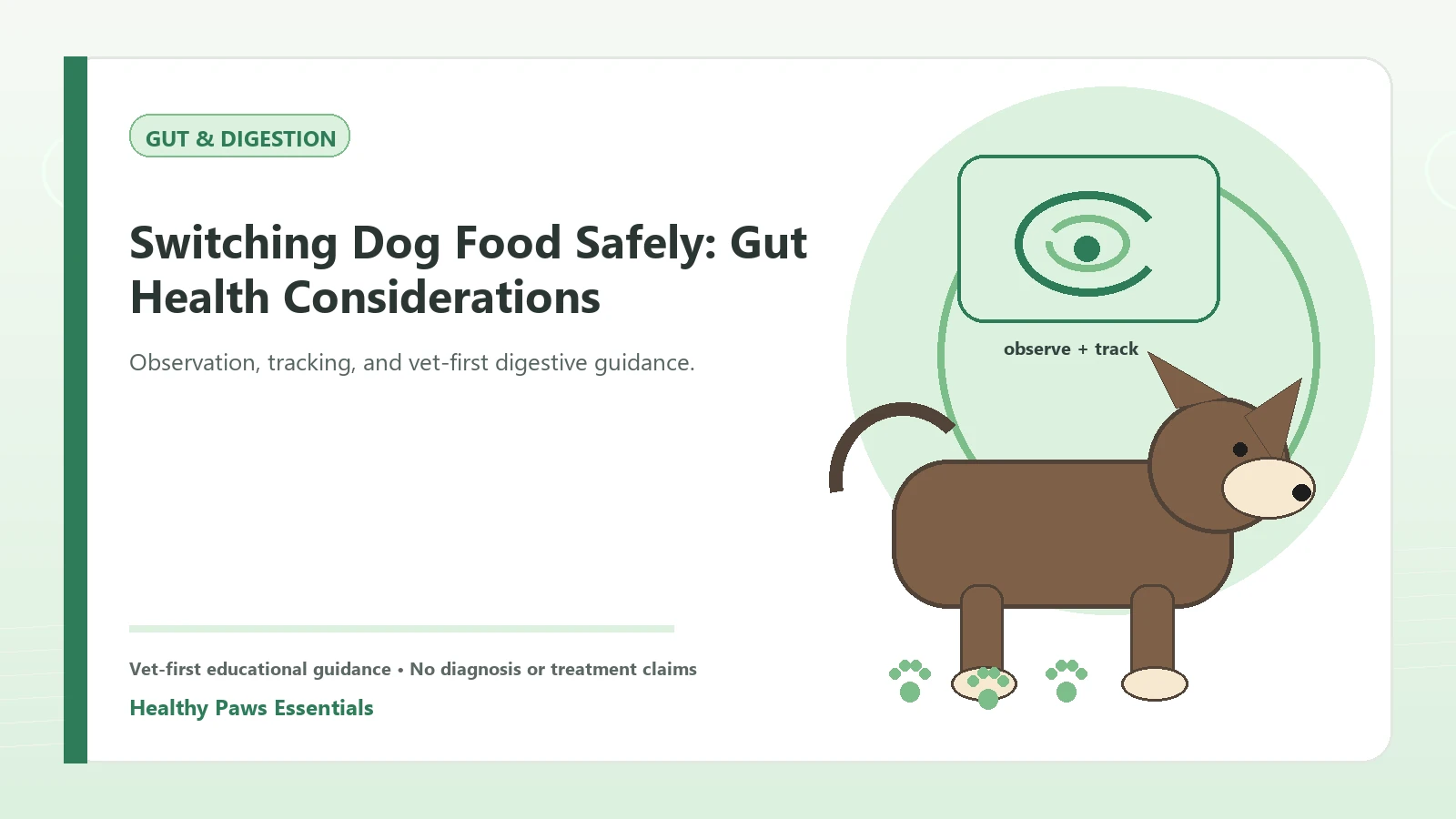 Custom Healthy Paws Essentials illustration for Switching Dog Food Safely: Gut Health Considerations, showing a dog and a vet-first care planning concept.