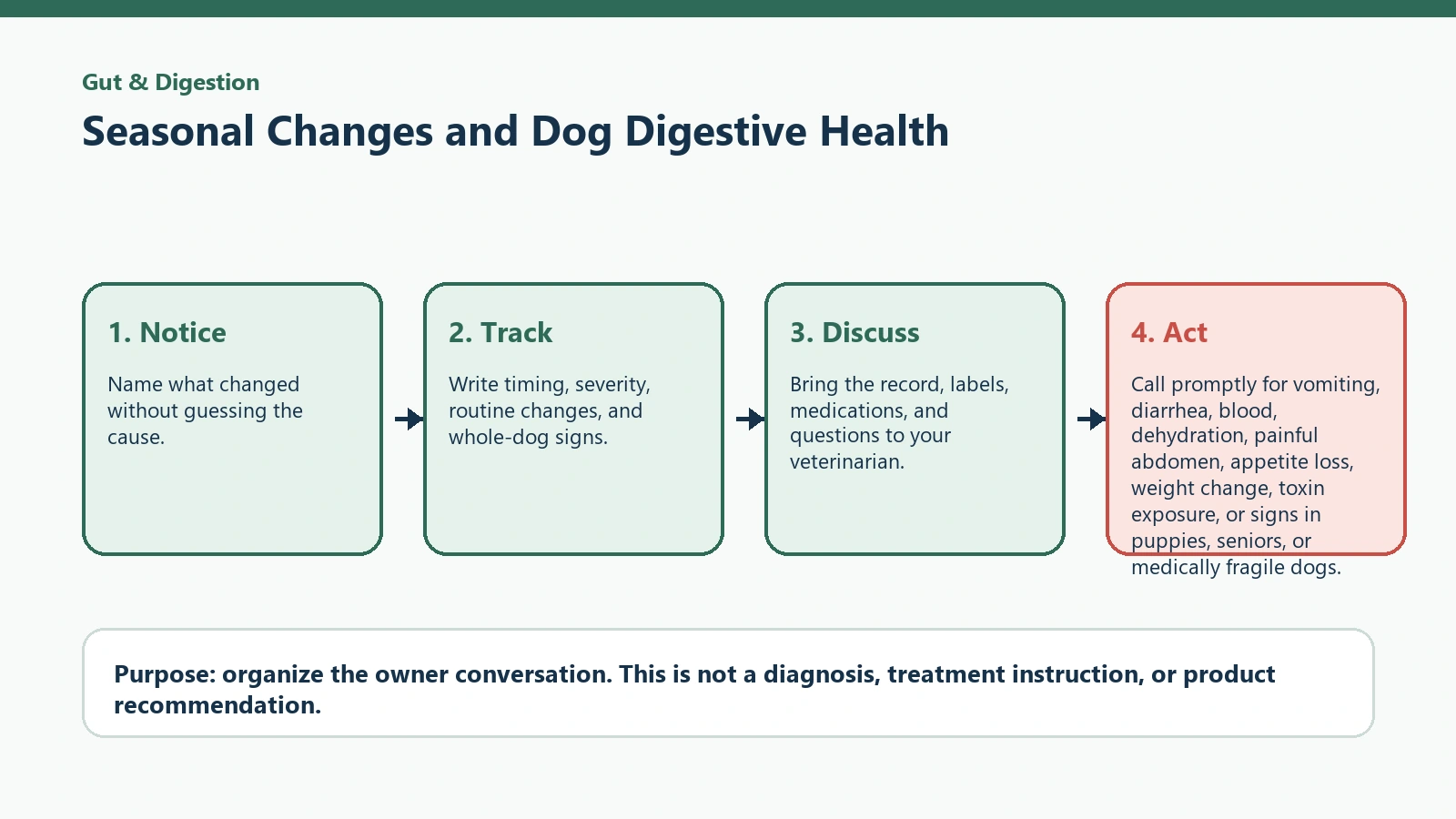 Decision pathway for Seasonal Changes and Dog Digestive Health.