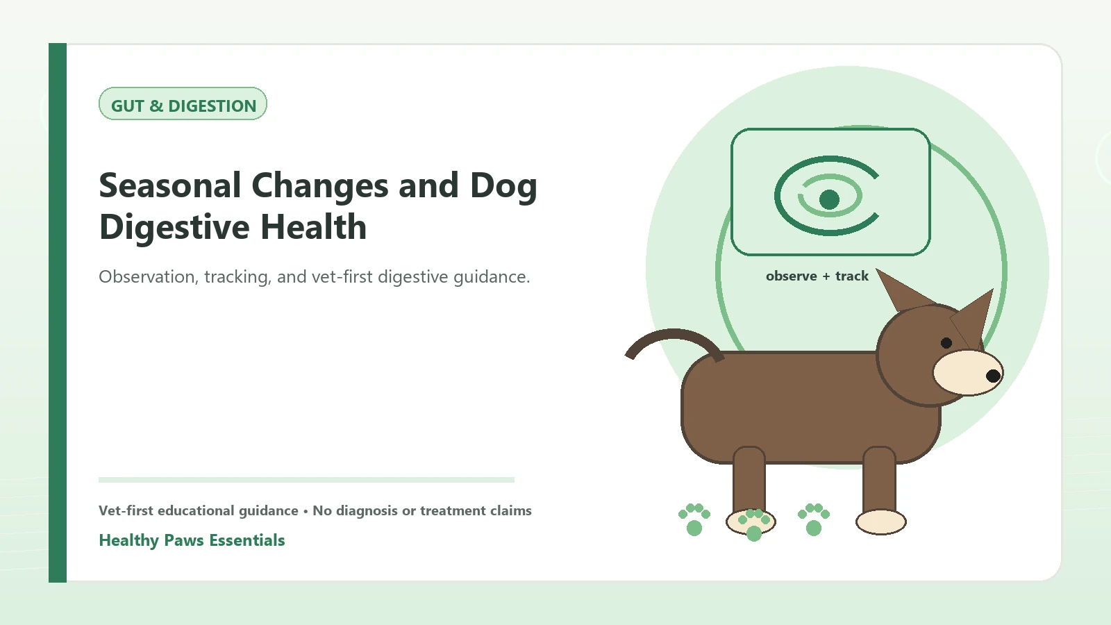 Custom Healthy Paws Essentials illustration for Seasonal Changes and Dog Digestive Health, showing a dog and a vet-first care planning concept.