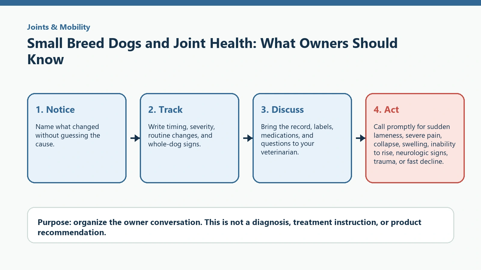 Decision pathway for Small Breed Dogs and Joint Health: What Owners Should Know.