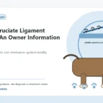 Custom Healthy Paws Essentials illustration for Canine Cruciate Ligament Injuries: An Owner Information Guide, showing a dog and a vet-first care planning concept.