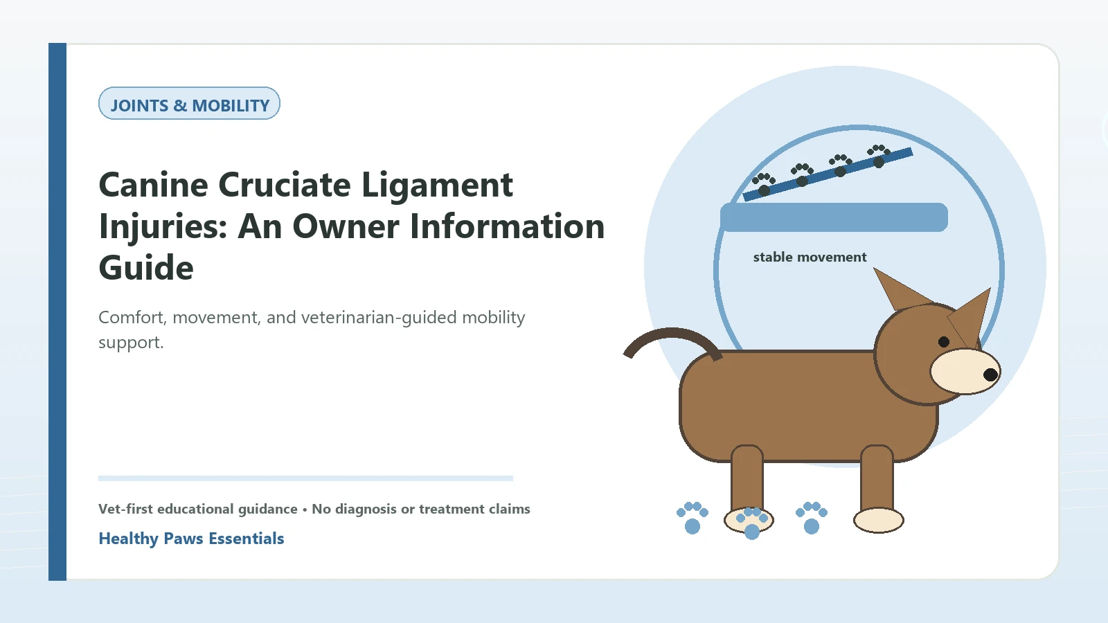 Custom Healthy Paws Essentials illustration for Canine Cruciate Ligament Injuries: An Owner Information Guide, showing a dog and a vet-first care planning concept.