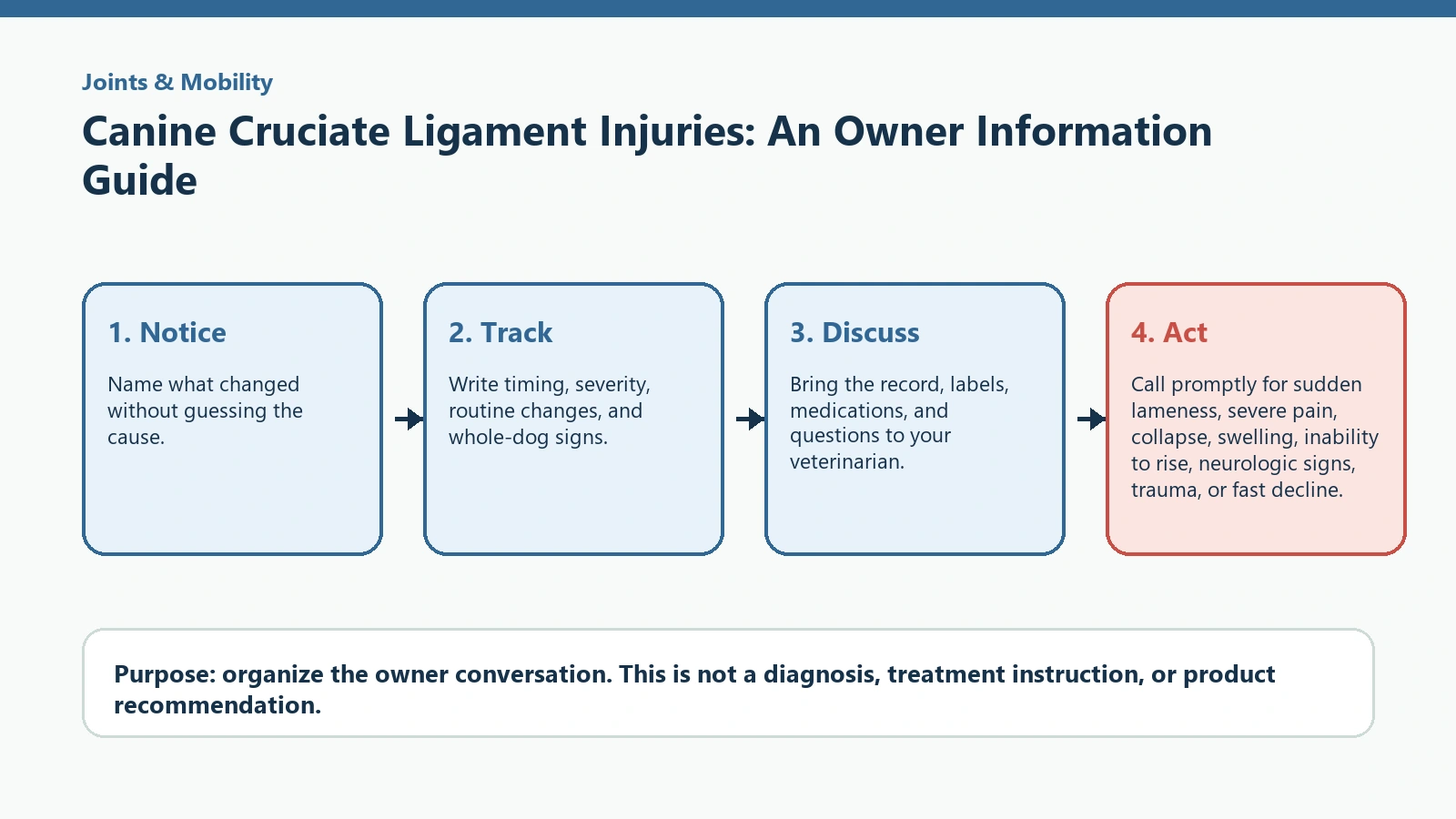 Decision pathway for Canine Cruciate Ligament Injuries: An Owner Information Guide.