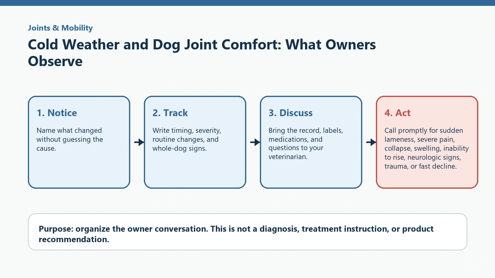 Decision pathway for Cold Weather and Dog Joint Comfort: What Owners Observe.