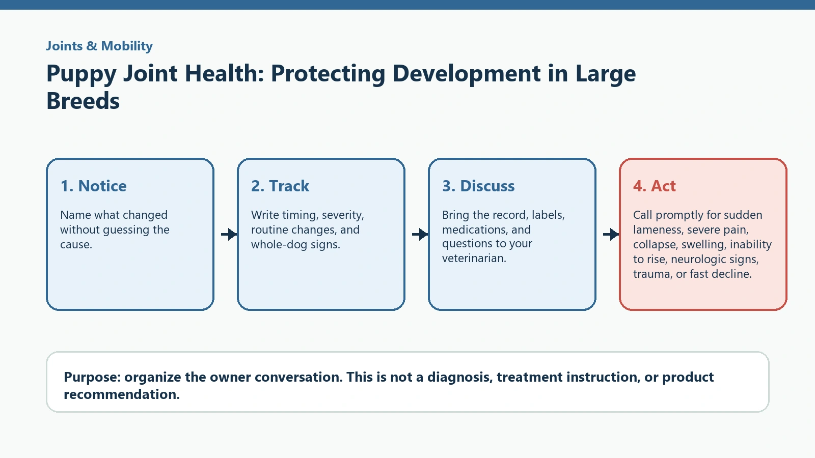 Decision pathway for Puppy Joint Health: Protecting Development in Large Breeds.