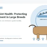 Custom Healthy Paws Essentials illustration for Puppy Joint Health: Protecting Development in Large Breeds, showing a dog and a vet-first care planning concept.