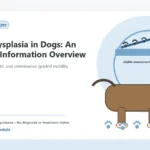 Custom Healthy Paws Essentials illustration for Elbow Dysplasia in Dogs: An Owner's Information Overview, showing a dog and a vet-first care planning concept.