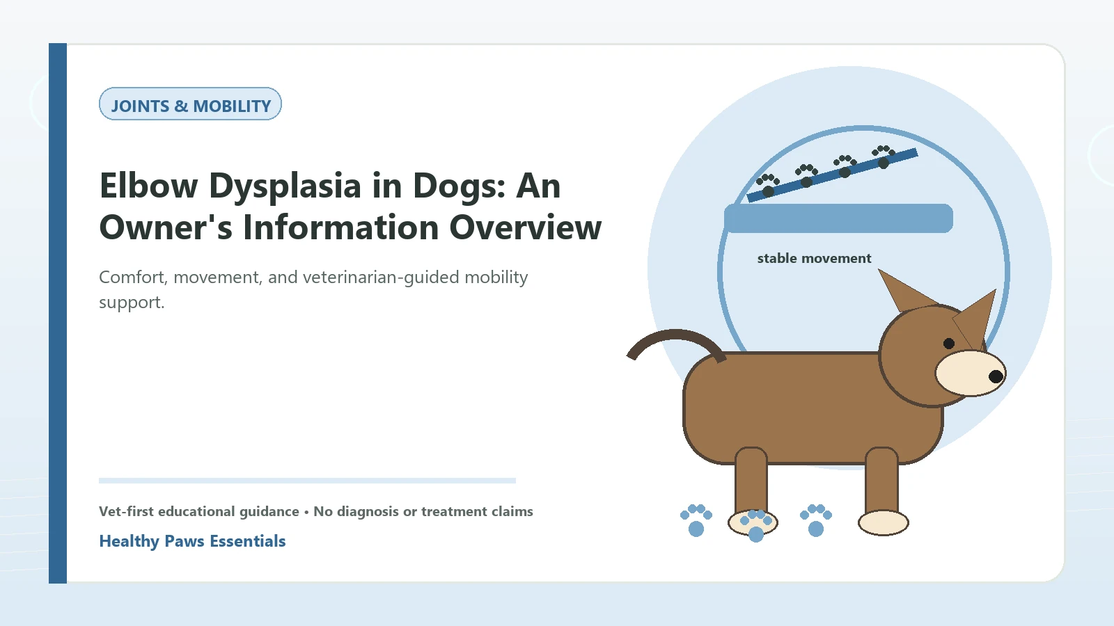 Custom Healthy Paws Essentials illustration for Elbow Dysplasia in Dogs: An Owner's Information Overview, showing a dog and a vet-first care planning concept.