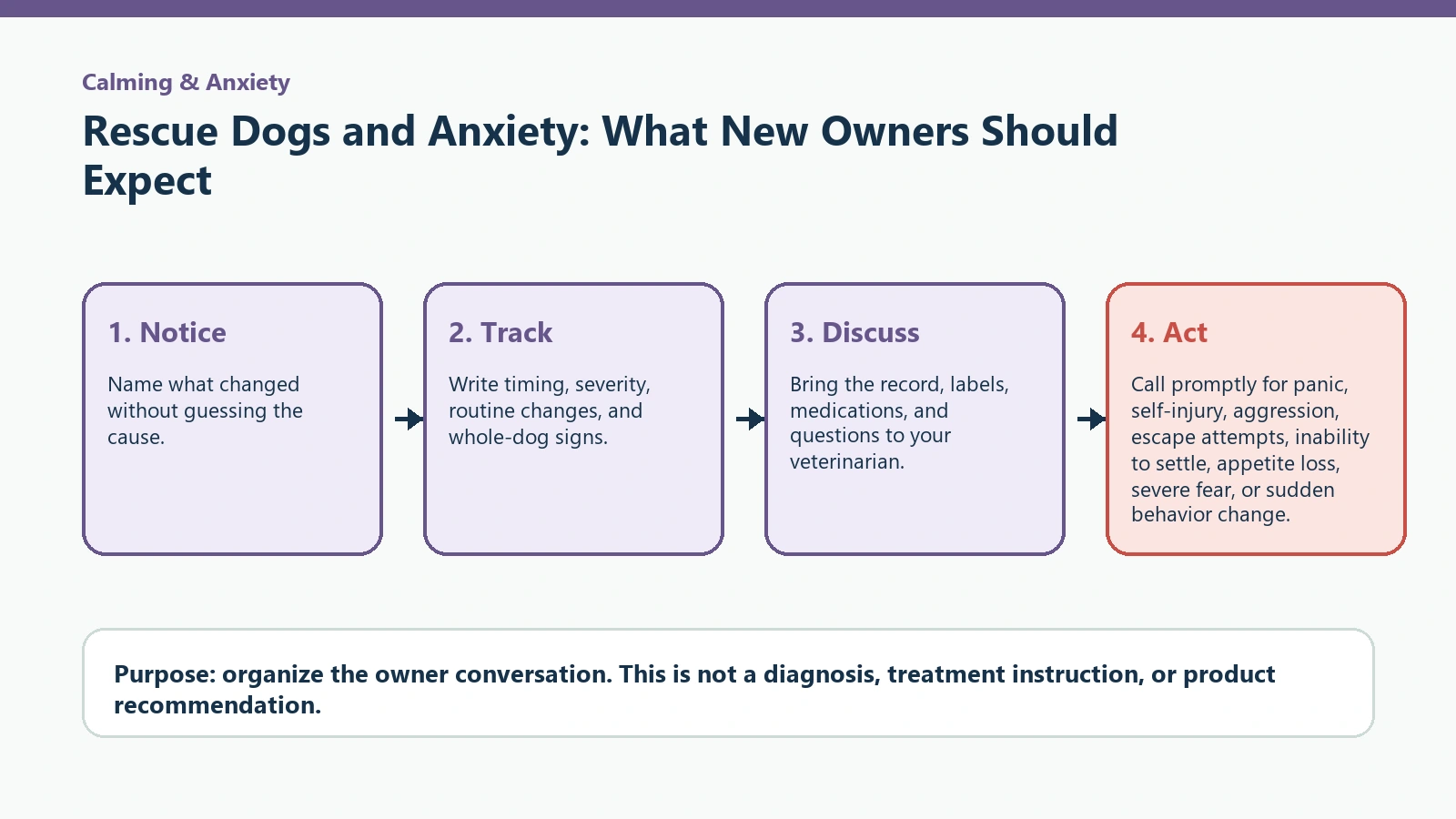 Decision pathway for Rescue Dogs and Anxiety: What New Owners Should Expect.