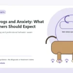 Custom Healthy Paws Essentials illustration for Rescue Dogs and Anxiety: What New Owners Should Expect, showing a dog and a vet-first care planning concept.