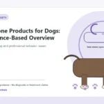 Custom Healthy Paws Essentials illustration for Pheromone Products for Dogs: An Evidence-Based Overview, showing a dog and a vet-first care planning concept.