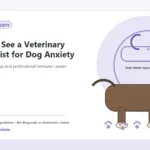 Custom Healthy Paws Essentials illustration for When to See a Veterinary Behaviorist for Dog Anxiety, showing a dog and a vet-first care planning concept.