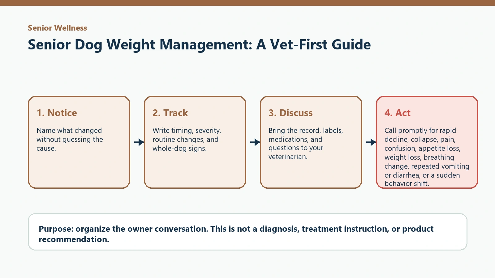 Decision pathway for Senior Dog Weight Management: A Vet-First Guide.