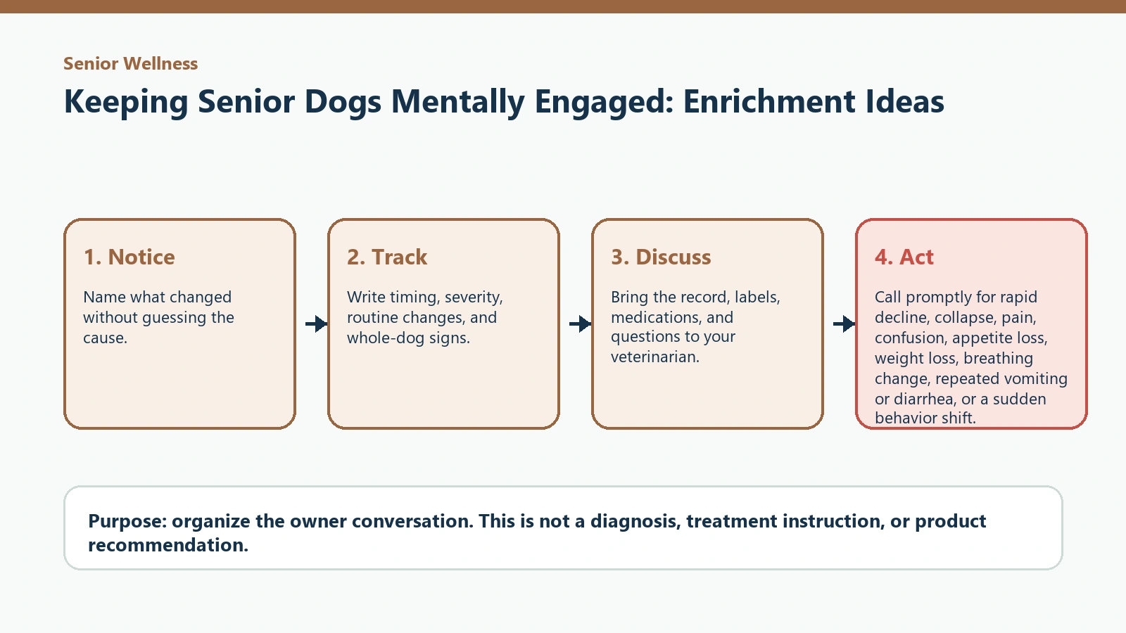 Decision pathway for Keeping Senior Dogs Mentally Engaged: Enrichment Ideas.