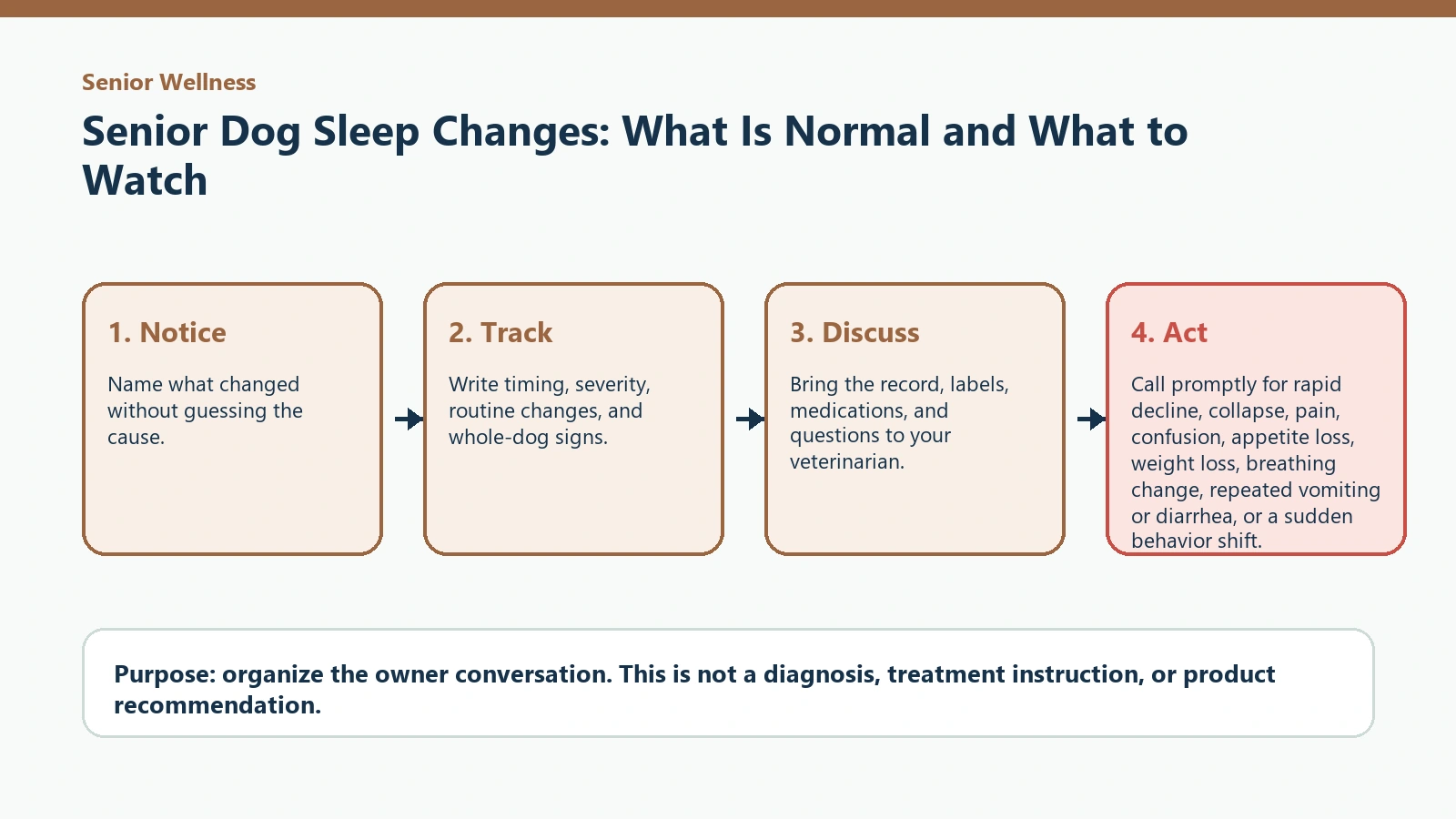 Decision pathway for Senior Dog Sleep Changes: What Is Normal and What to Watch.