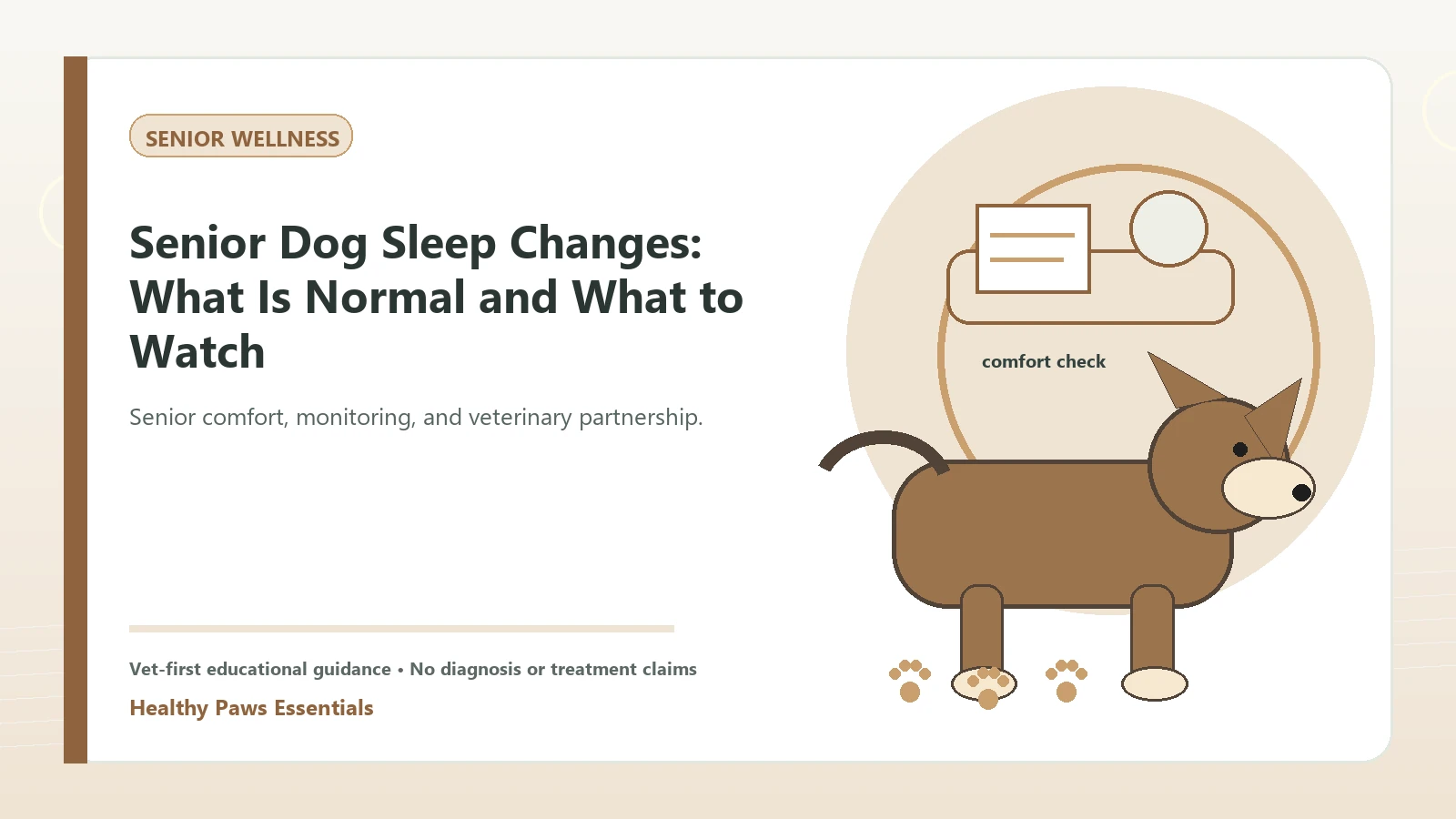 Custom Healthy Paws Essentials illustration for Senior Dog Sleep Changes: What Is Normal and What to Watch, showing a dog and a vet-first care planning concept.