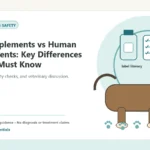 Custom Healthy Paws Essentials illustration for Dog Supplements vs Human Supplements: Key Differences Owners Must Know, showing a dog and a vet-first care planning concept.