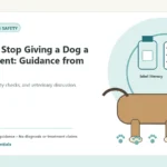 Custom Healthy Paws Essentials illustration for When to Stop Giving a Dog a Supplement: Guidance from Vets, showing a dog and a vet-first care planning concept.