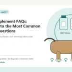 Custom Healthy Paws Essentials illustration for Dog Supplement FAQs: Answers to the Most Common Owner Questions, showing a dog and a vet-first care planning concept.