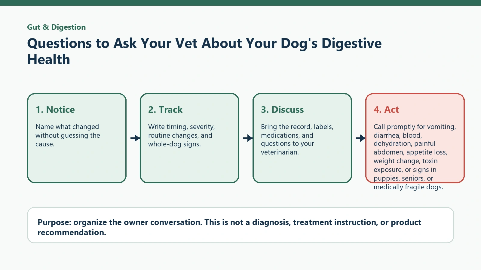 Decision pathway for Questions to Ask Your Vet About Your Dog's Digestive Health.