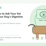Custom Healthy Paws Essentials illustration for Questions to Ask Your Vet About Your Dog's Digestive Health, showing a dog and a vet-first care planning concept.