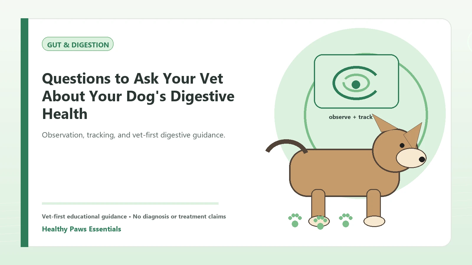 Custom Healthy Paws Essentials illustration for Questions to Ask Your Vet About Your Dog's Digestive Health, showing a dog and a vet-first care planning concept.