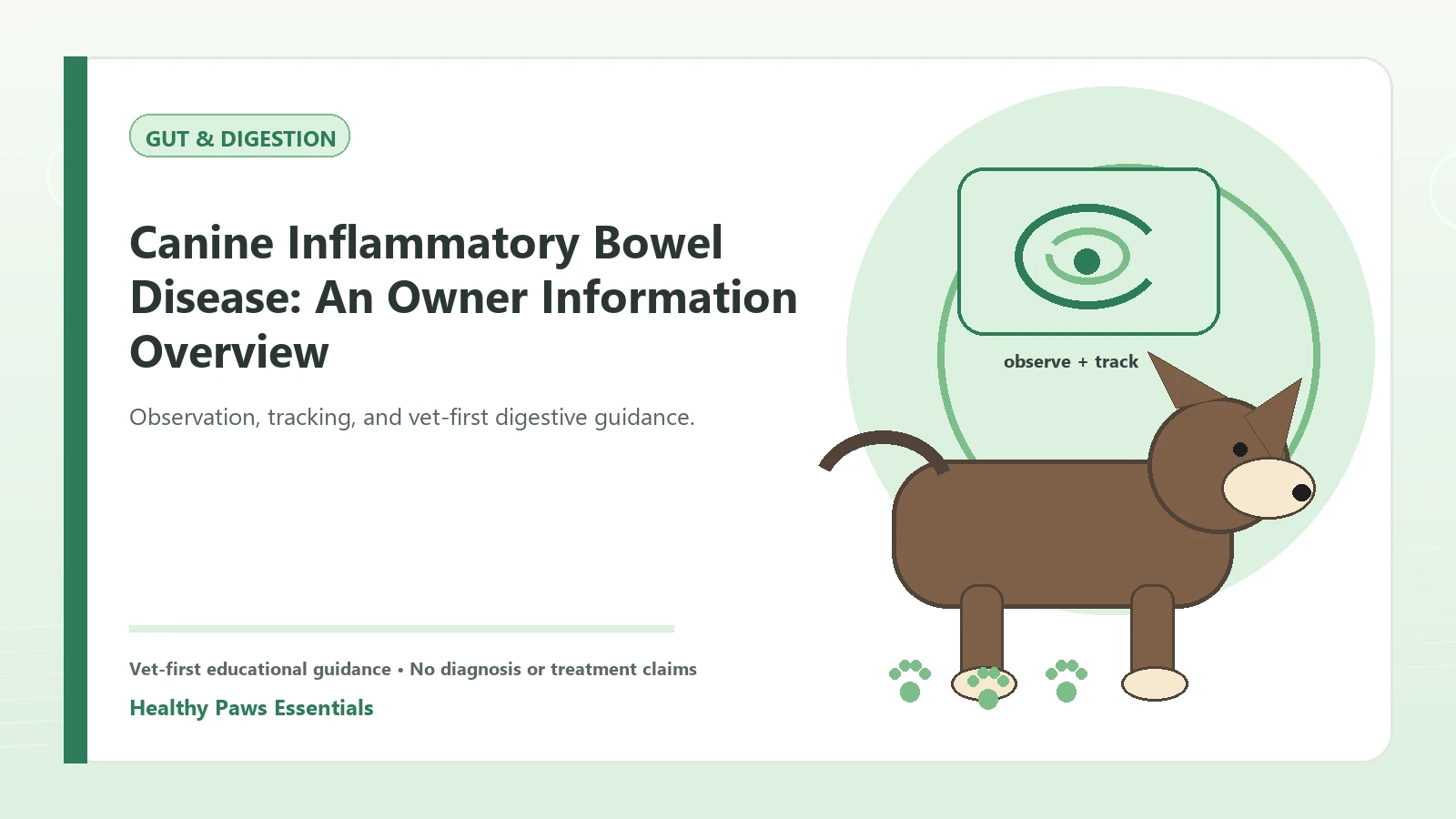 Custom Healthy Paws Essentials illustration for Canine Inflammatory Bowel Disease: An Owner Information Overview, showing a dog and a vet-first care planning concept.