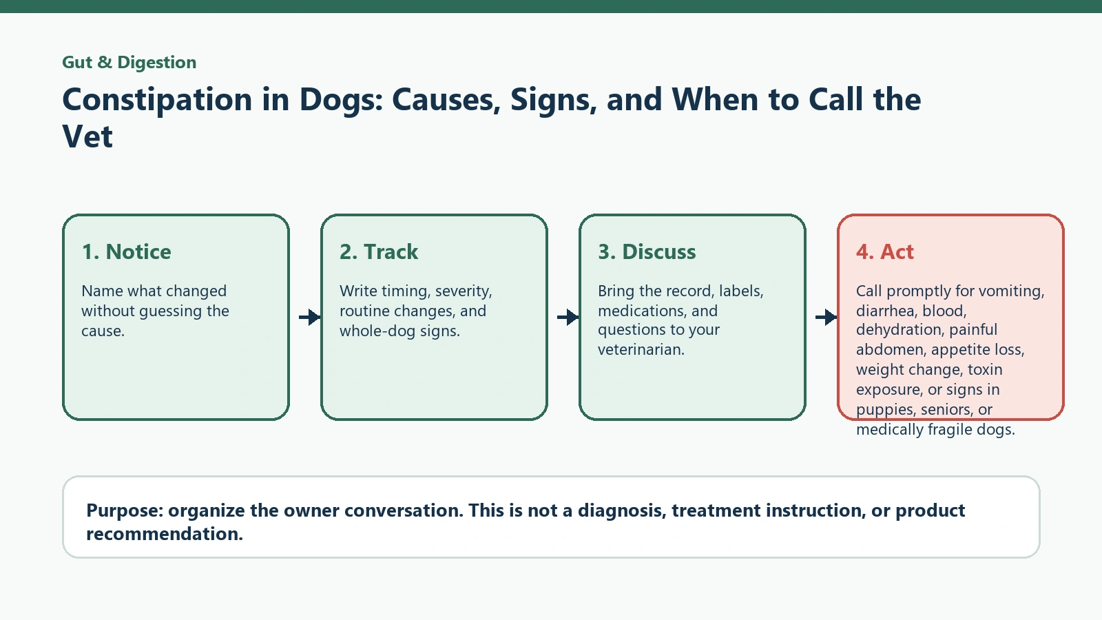 Decision pathway for Constipation in Dogs: Causes, Signs, and When to Call the Vet.