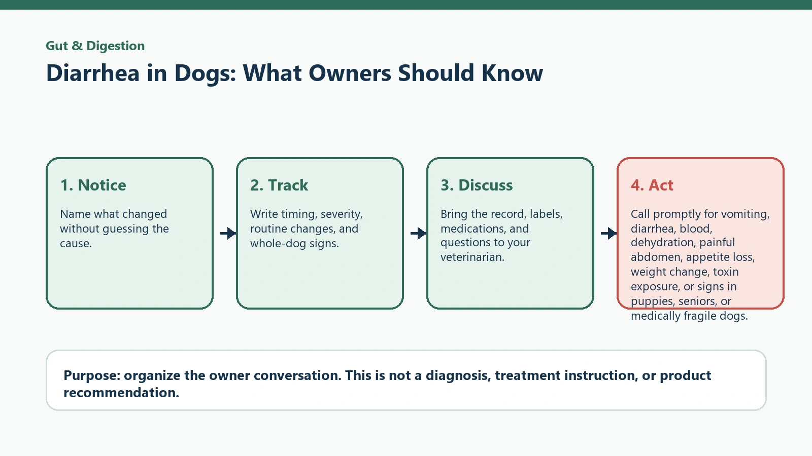 Decision pathway for Diarrhea in Dogs: What Owners Should Know.