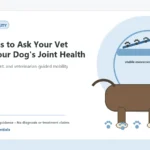 Custom Healthy Paws Essentials illustration for Questions to Ask Your Vet About Your Dog's Joint Health, showing a dog and a vet-first care planning concept.